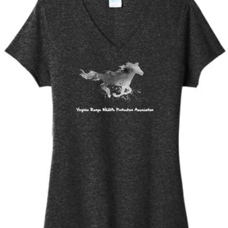 2022-2023 Women's V-Neck T-Shirt - Charcoal Grey