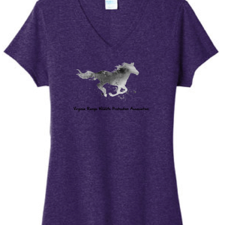 2022-2023 Women's V-Neck T-Shirt - Purple
