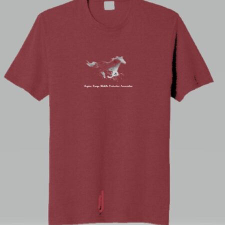 2024 Men's Short Sleeve T-Shirt - Cardinal