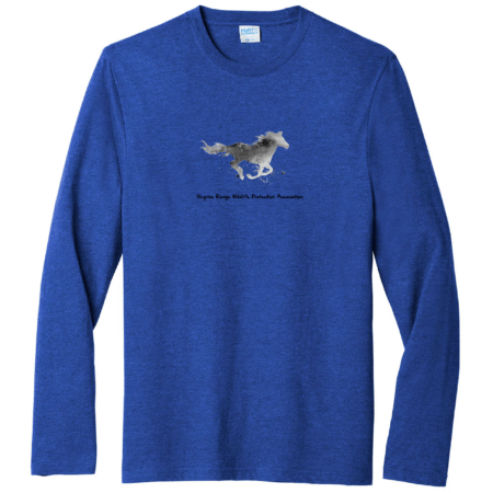 2024 Men's Long Sleeve T-Shirt - Royal