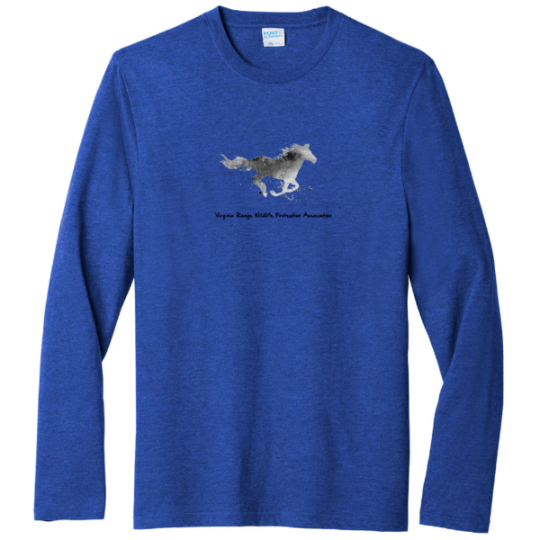 2024 Men's Long Sleeve T-Shirt - Royal