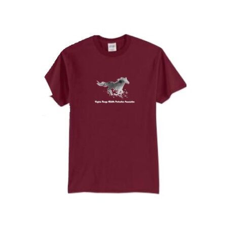 2025 Unisex - Short Sleeve T-Shirt - Cardinal