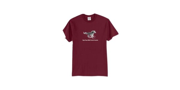 2025 Unisex - Short Sleeve T-Shirt - Cardinal